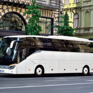 intercity bus joint transportation service